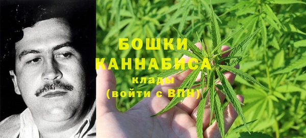 меф Арсеньев