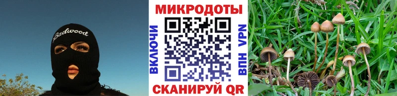 Псилоцибиновые грибы ЛСД  купить наркоту  Белово 