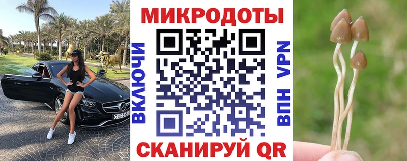 Галлюциногенные грибы мицелий Белово